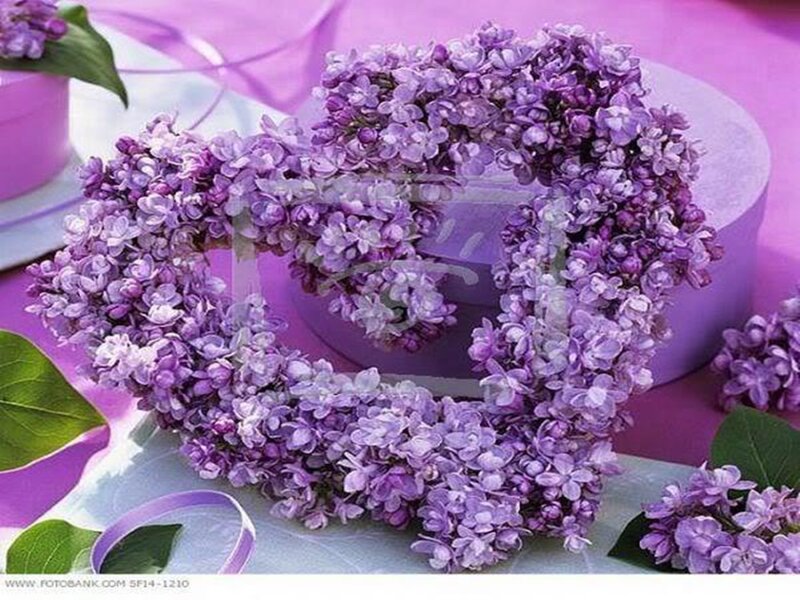 Heart-shaped Lilac Wreath — Purple, Serene
