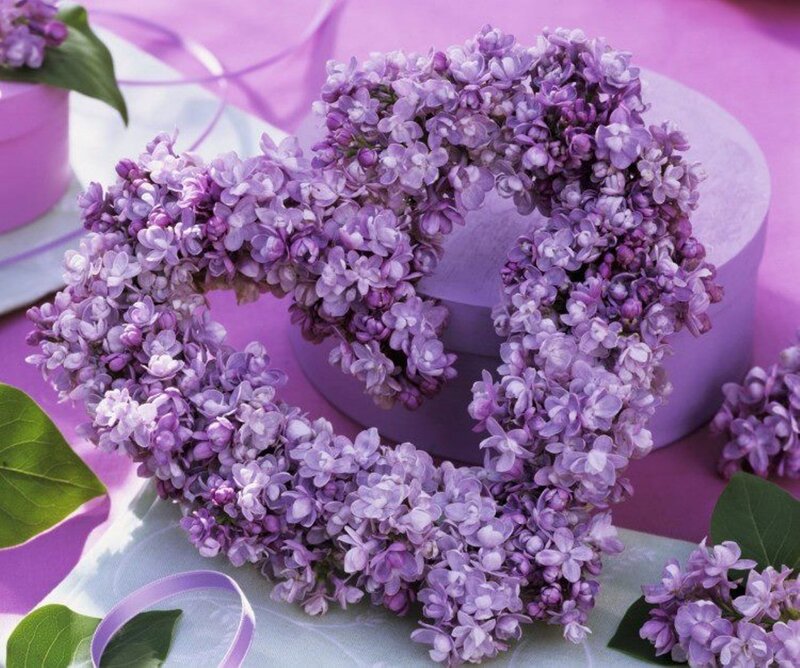 Heart-shaped Lilac Wreath — Purple