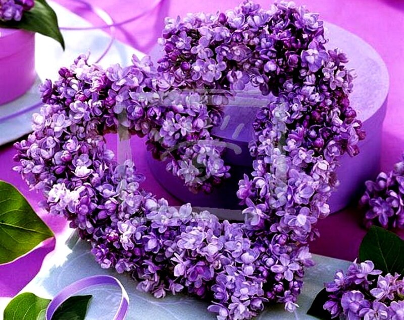 Heart-shaped Lilac Wreath