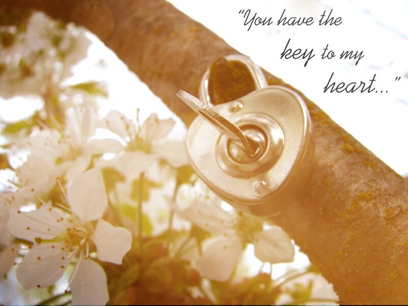 Heart-shaped Lock on Branch