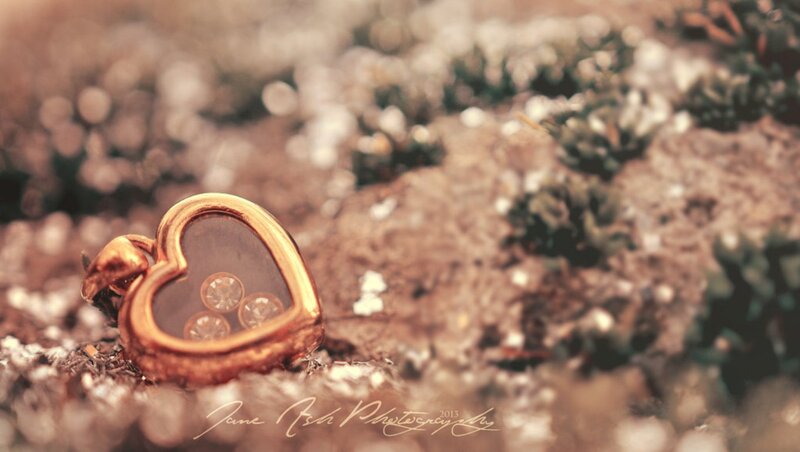 Heart-shaped Locket — Brown, Serene