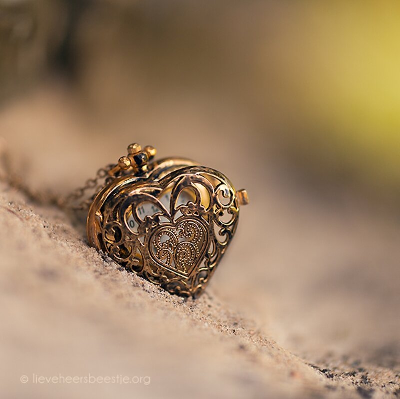 Heart-shaped Locket — Gold, Serene