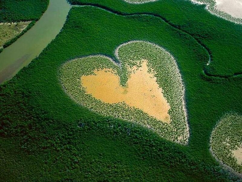 Heart-shaped Mangrove Area