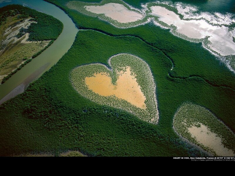 Heart-shaped mangrove island