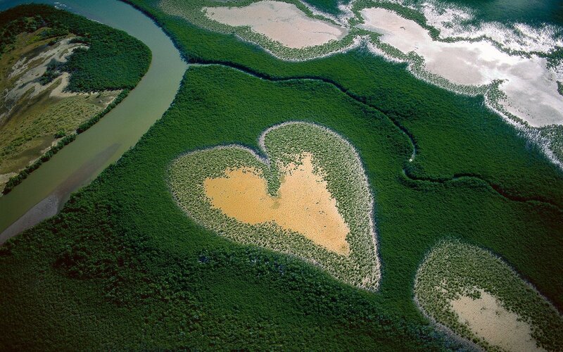 Heart-shaped Mangrove Island — Green, Serene, Photograph
