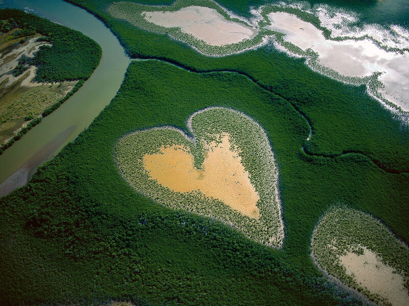 Heart-shaped Mangrove Island — Green