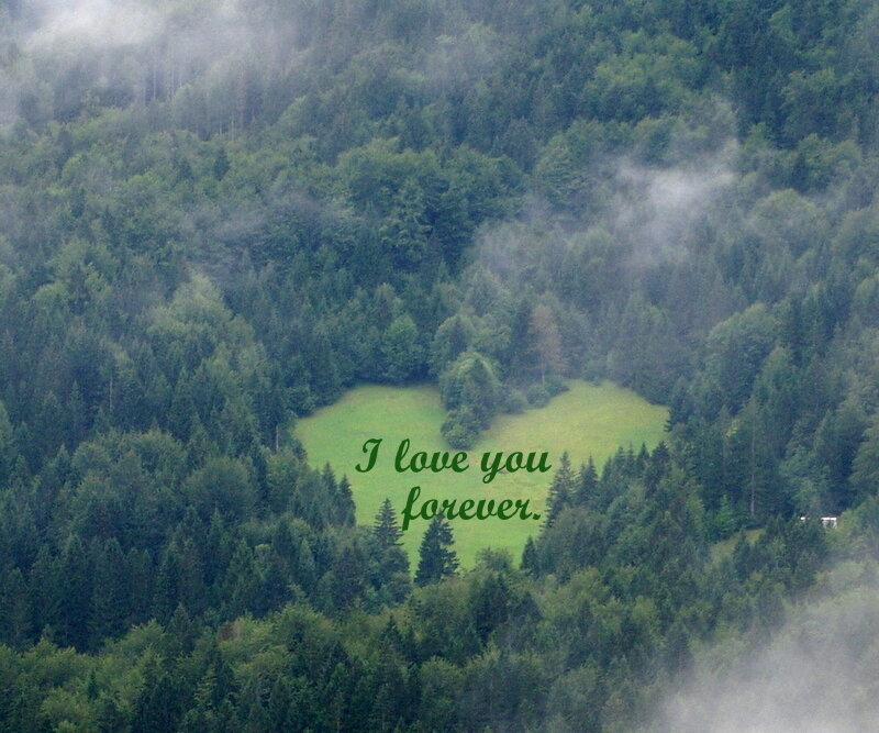 Heart-shaped Meadow
