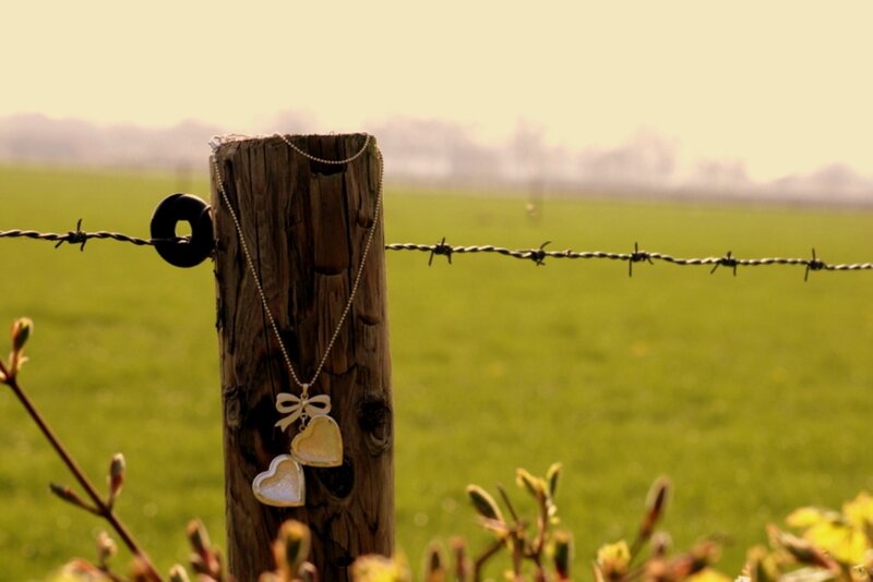 Heart-shaped Necklace on Post
