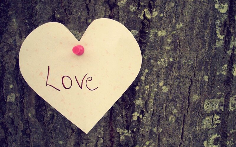 Heart-shaped Note on Tree — Brown, Romantic