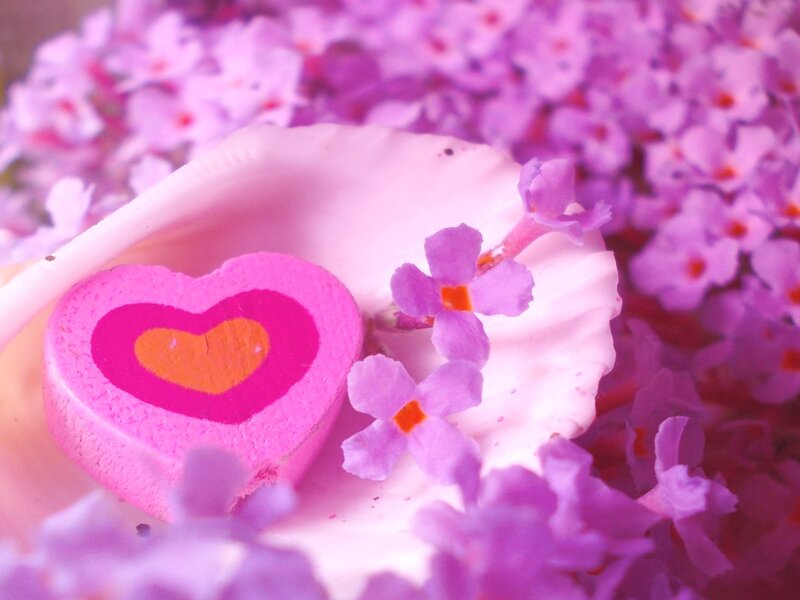 Heart-shaped Object in Shell