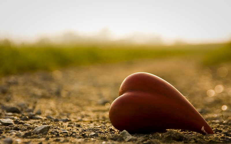 heart-shaped object on ground