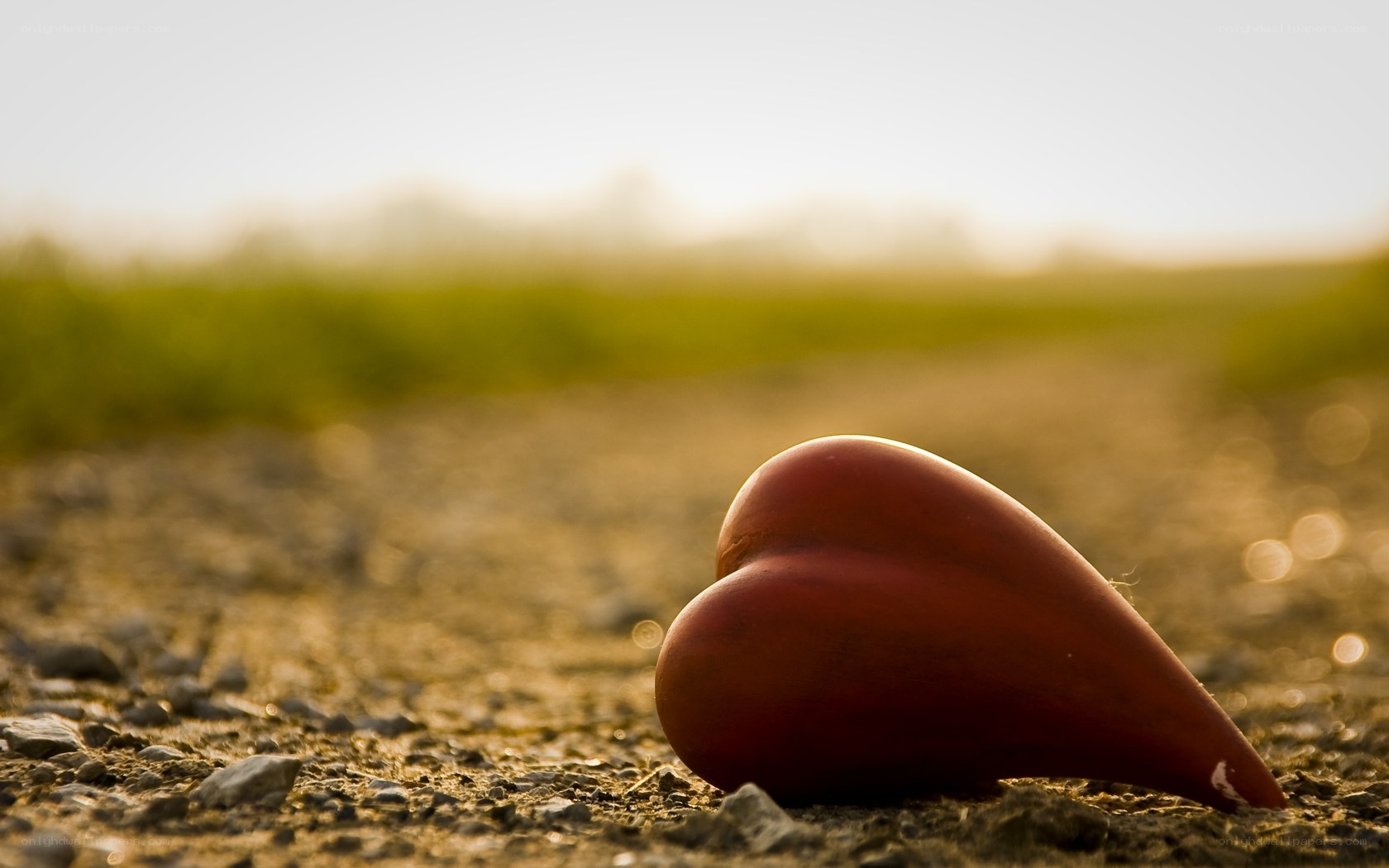 heart-shaped object on ground