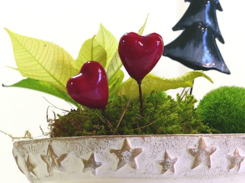 Heart-shaped Ornaments — Green, Festive, Photograph