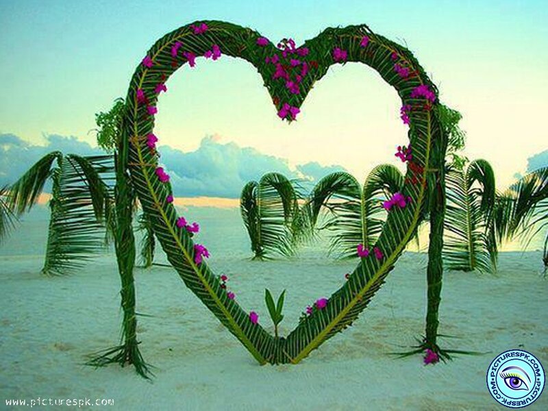 Heart-shaped Palm Arch