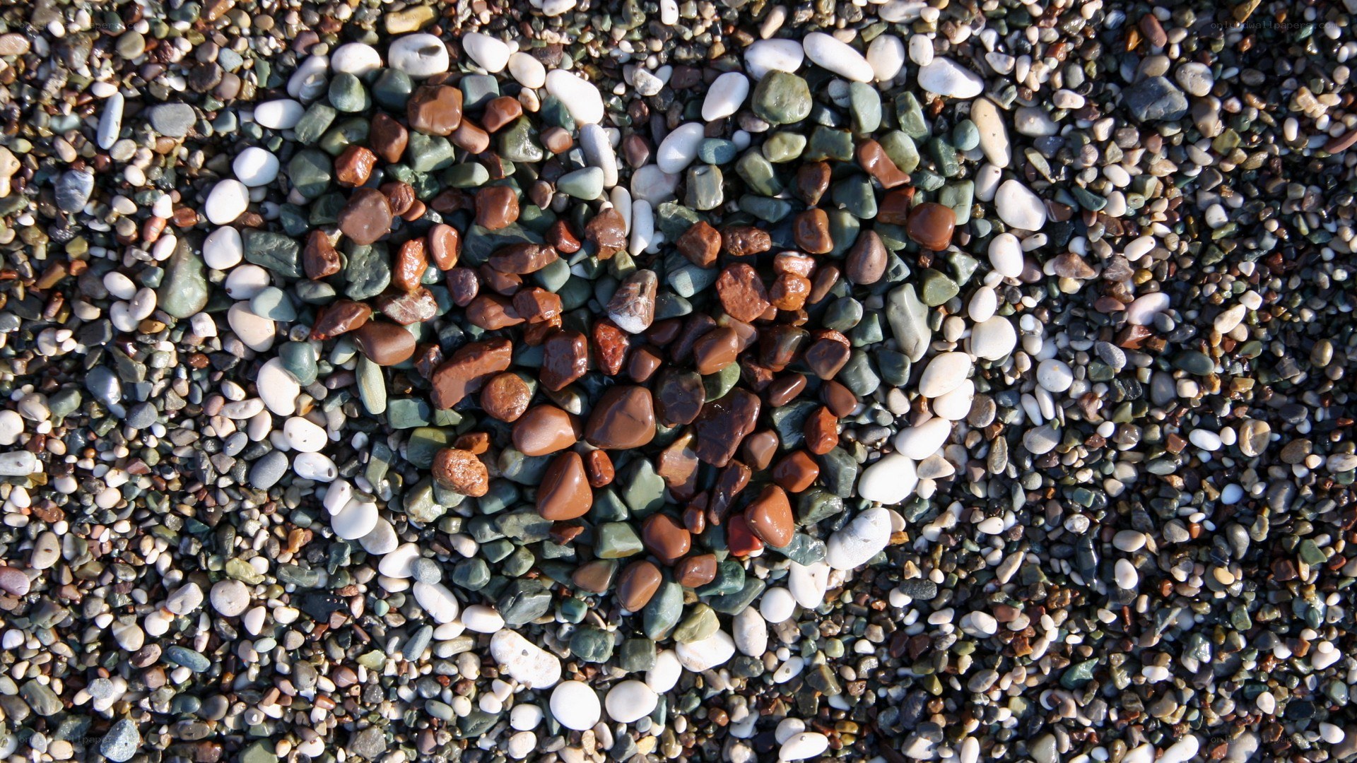 heart-shaped pebbles on beach