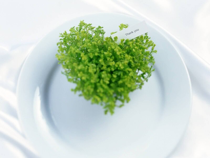 Heart-shaped Plant on Plate — Green