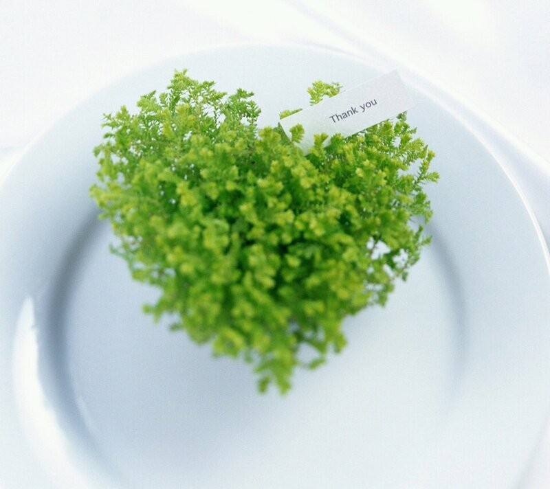 Heart-shaped Plant on Plate — White