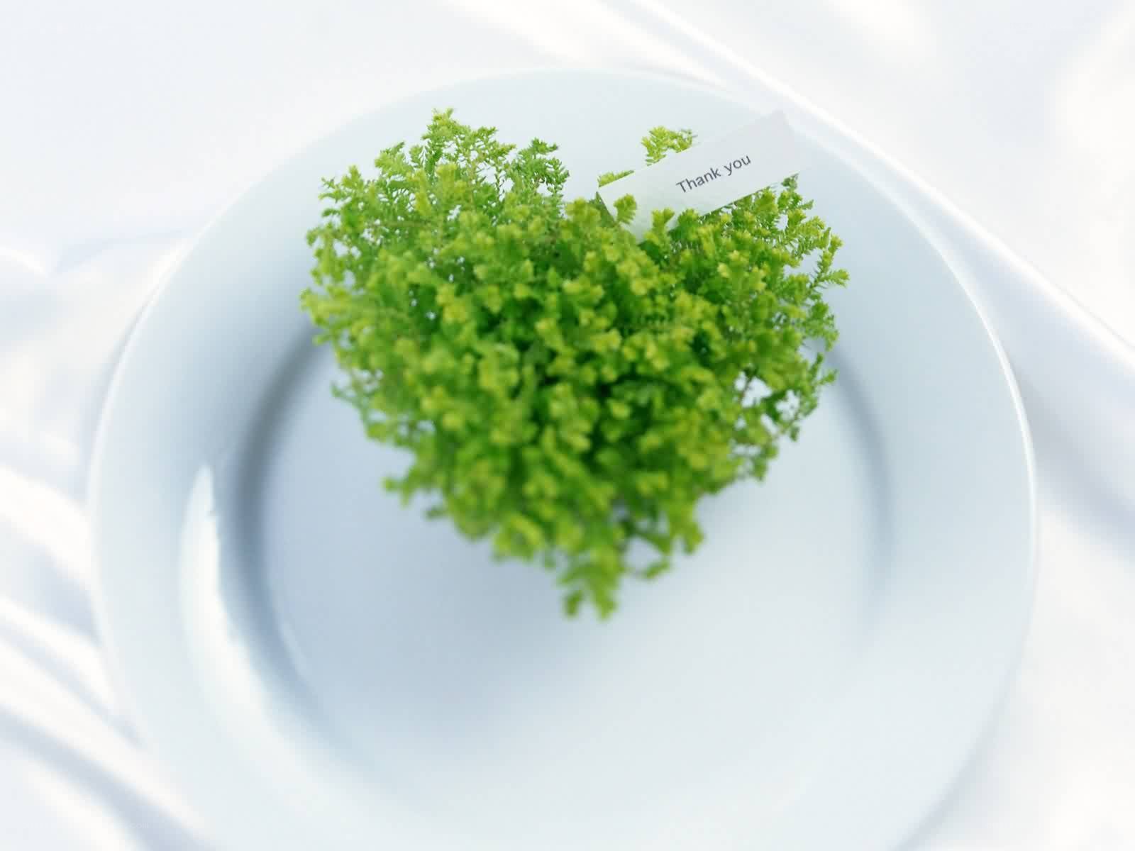 heart-shaped plant on plate