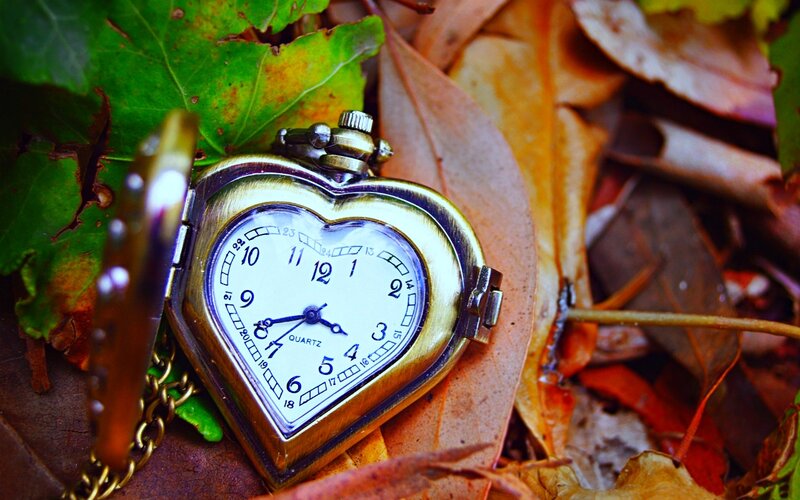 Heart-shaped Pocket Watch — Green, Serene, Autumn, Photograph