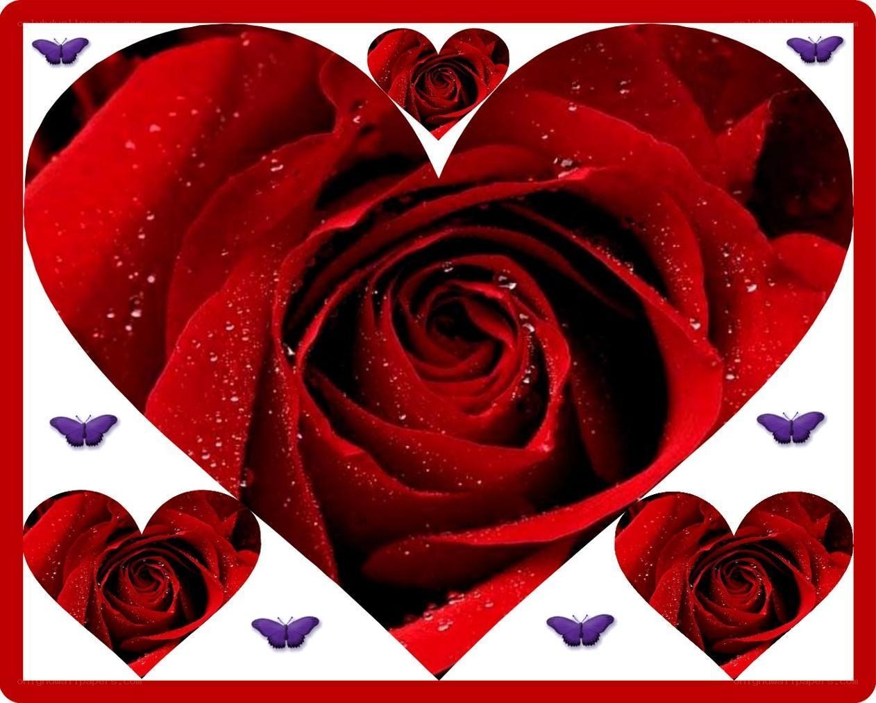 heart-shaped red rose collage