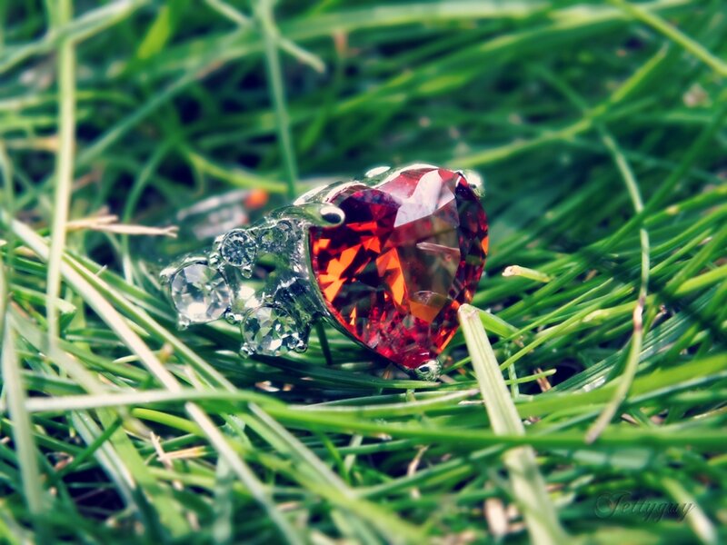 Heart-shaped Ring on Grass