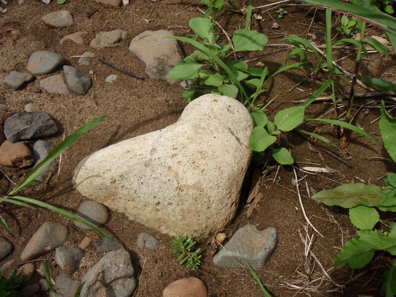 Heart-shaped Rock — Brown