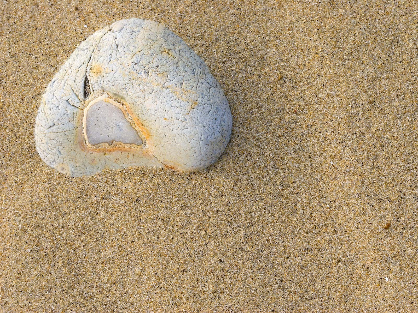 heart-shaped rock on sand