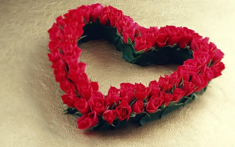 Heart-shaped Rose Arrangement — Photograph