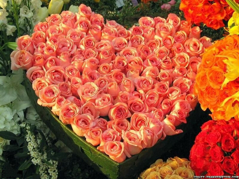 Heart-shaped Rose Arrangement — Pink