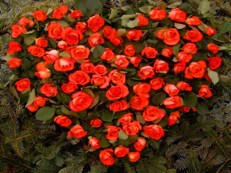 Heart-shaped Rose Arrangement — Red, Calm