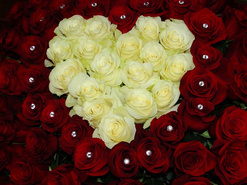Heart-shaped Rose Arrangement — Red, Romantic, Photograph, Roses, Diamonds