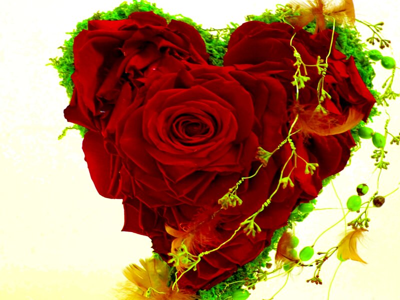 Heart-shaped Rose Arrangement — Red, Romantic, Photograph, Roses, Moss, Feathers