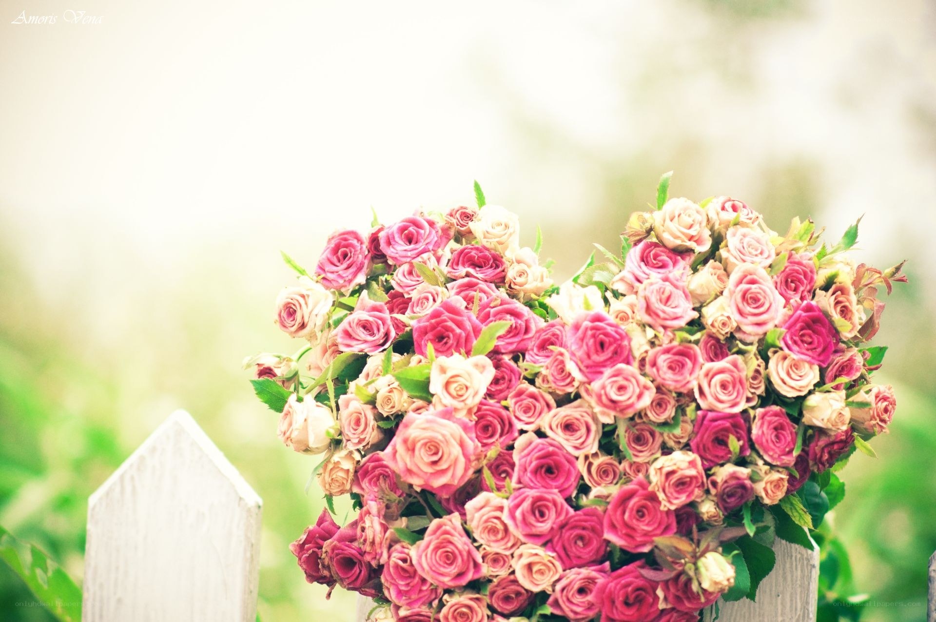heart-shaped rose bouquet