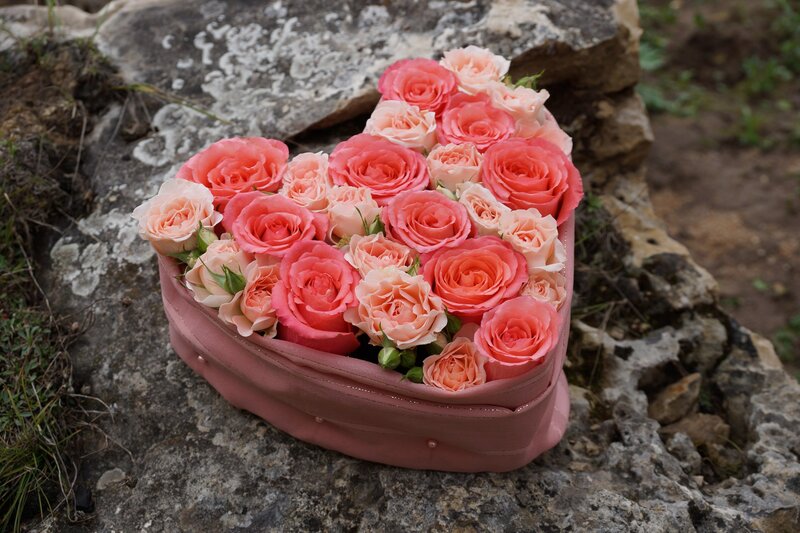 Heart-shaped Rose Bouquet — Pink, Serene, Photograph, Roses