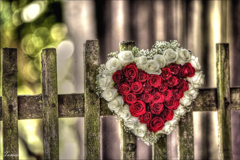Heart-shaped Rose Bouquet — Red, Romantic, Afternoon