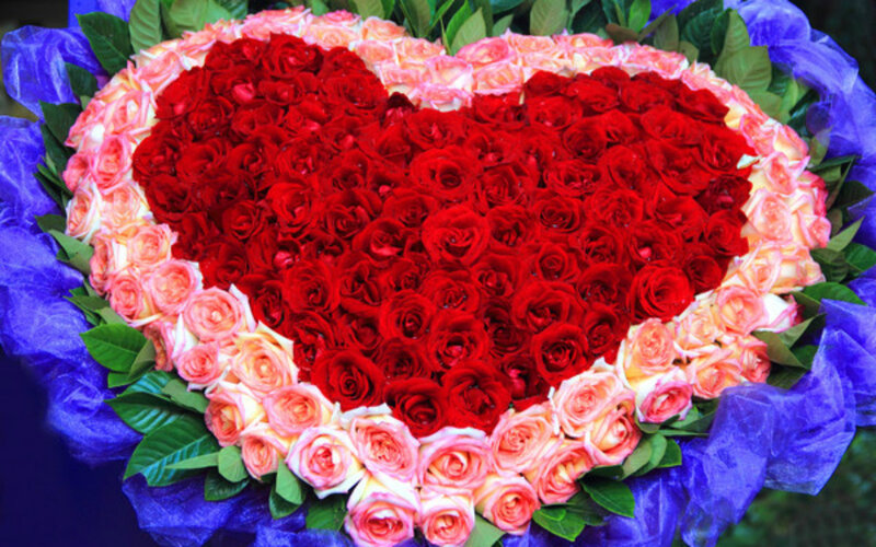 Heart-shaped Rose Bouquet — Red, Romantic, Photograph, Roses, Leaves
