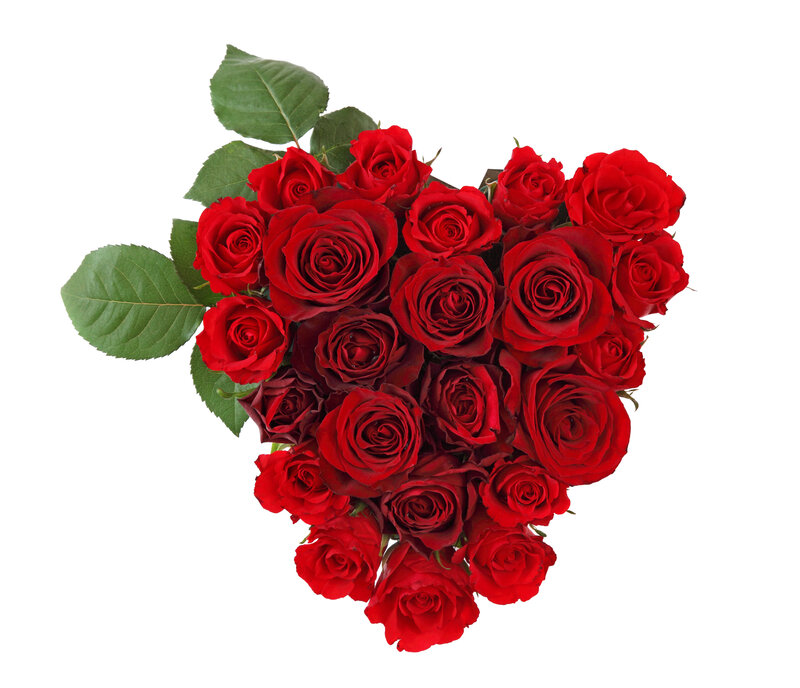 Heart-shaped Rose Bouquet — Red, Romantic, Photograph