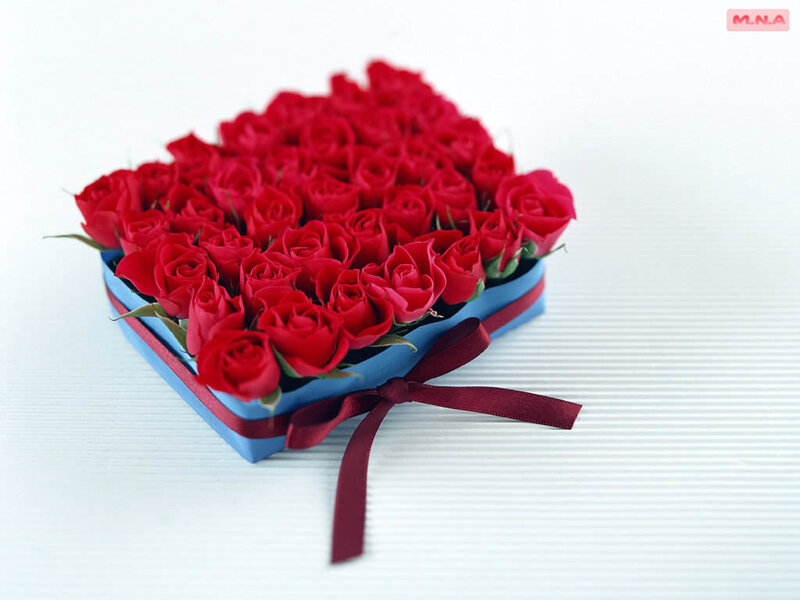Heart-shaped Rose Box — Red, Romantic, Photograph, Roses, Blue Box