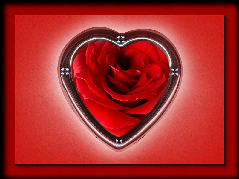 heart-shaped rose frame