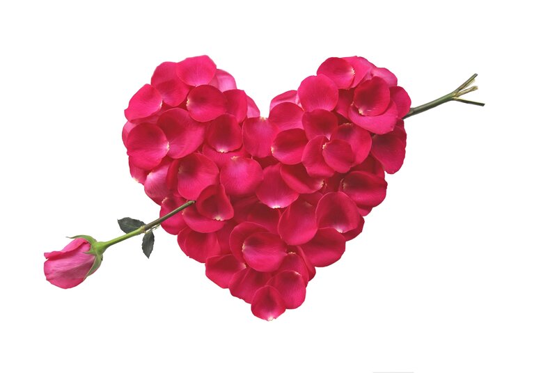 Heart-shaped Rose Petals — Pink