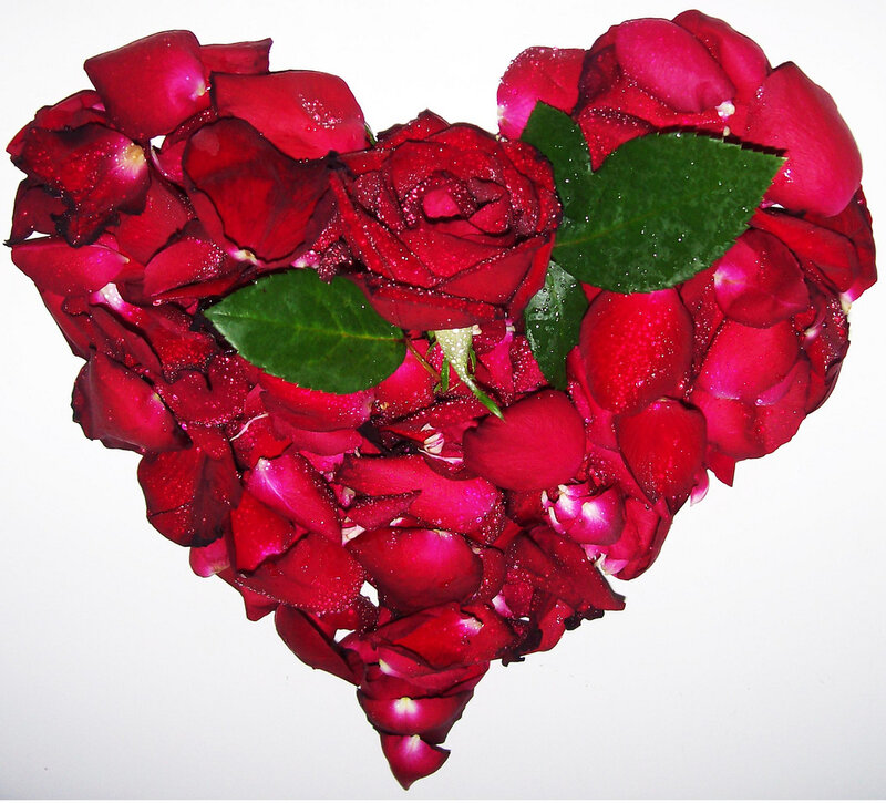 Heart-shaped Rose Petals — Red