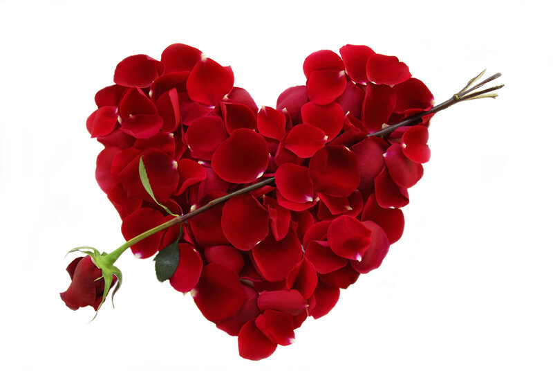 Heart-shaped Rose Petals