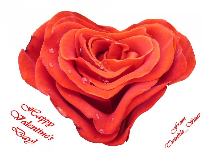 Heart-shaped Rose