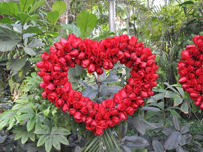 Heart-shaped Rose Wreath — Red, Serene