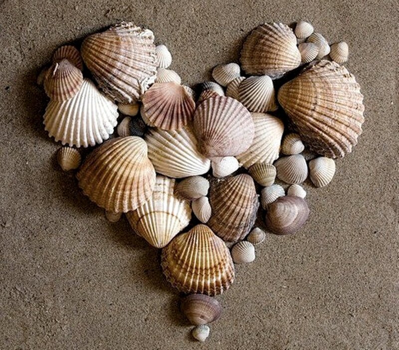 Heart-shaped Seashell Arrangement