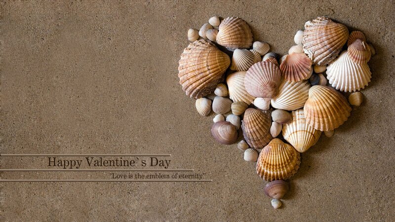 Heart-shaped Seashells — Brown