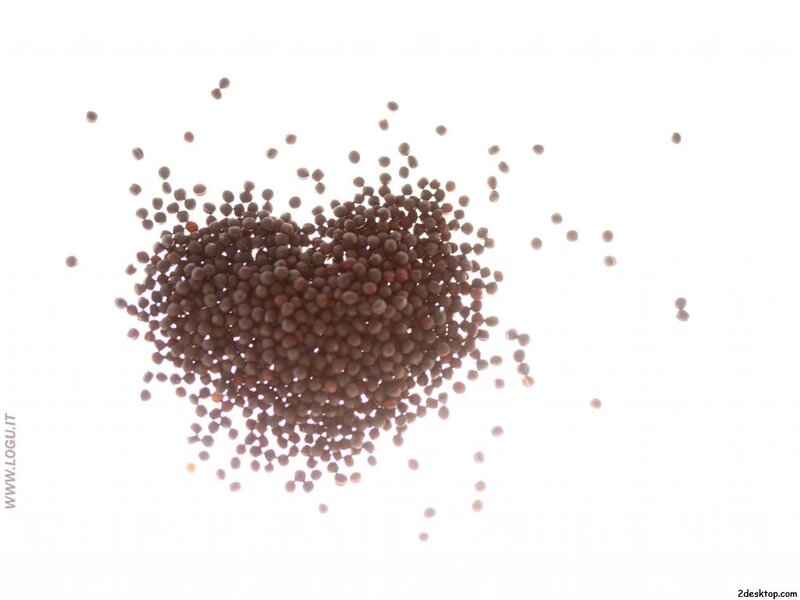 heart-shaped seeds