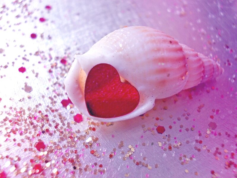 Heart-shaped Shell