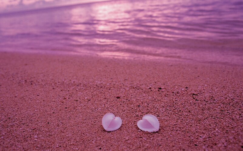 heart-shaped shells on beach