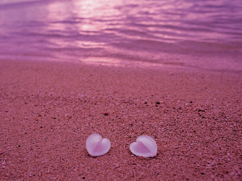 Heart-shaped Shells on Sand — Pink
